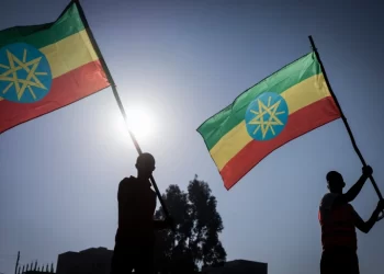 UN chief calls for immediate end to fighting in Ethiopia