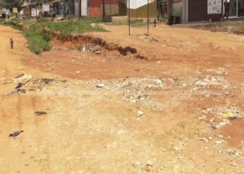 2022 budget: Roads sector in focus