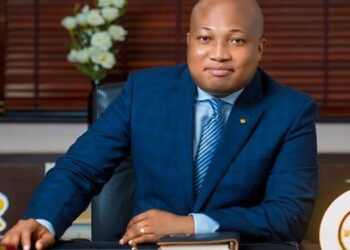 “We successfully killed the killer budget” – Okudzeto Ablakwa