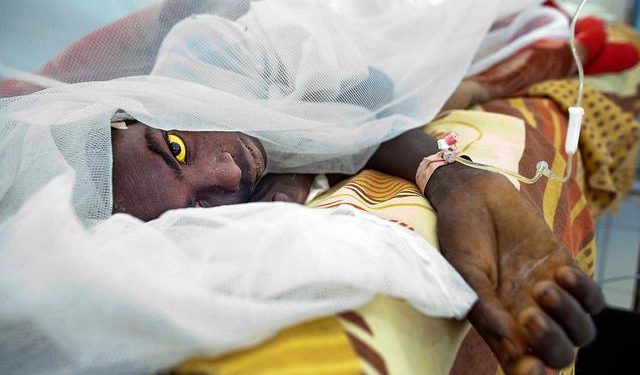 6 More Die Of Suspected Yellow Fever