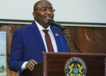 Vice-President attends UN Security Council meeting