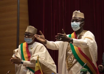 Mali parliament approves five-year democratic transition plan￼
