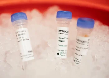 WHO says it advised Ukraine to destroy pathogens in health labs