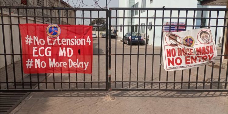 ‘Our MD must go’ – ECG workers demand removal of their boss