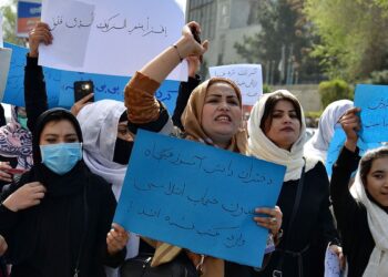 World Bank freezes Afghan projects after Taliban bans girls from high school