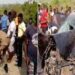One dead, four others injured as bus hits cow at Gomoa Potsin