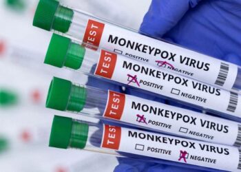 Slovenia, Czech Republic register first monkeypox cases