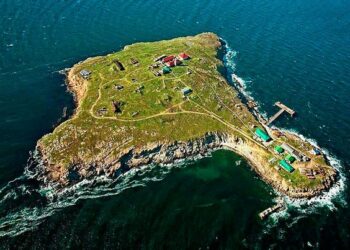 Russia withdraws from Ukraine’s Snake Island in Black Sea