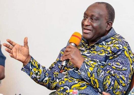 ‘Cul de sac’ economic management orientation leading us nowhere – Alan Kyerematen