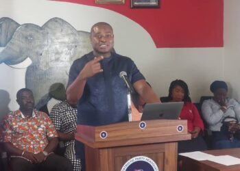 NPP is as strong as ever in its stronghold – Ahiagbah