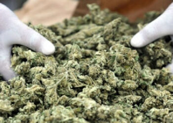 Supreme Court affirms decision not to allow for cultivation of ‘wee’