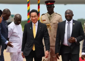 Japan’s PM vows $500m in financial support to Africa