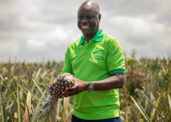 ADB MD endorses Ekumfi factory model, advocates for replication across Ghana