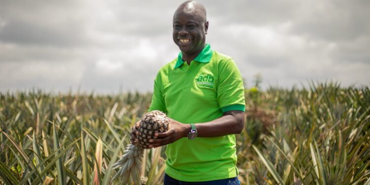 ADB MD endorses Ekumfi factory model, advocates for replication across Ghana