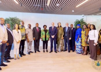 Ghana to boost tomatoes industry after Veep Opoku Agyeman engagement with GB Foods