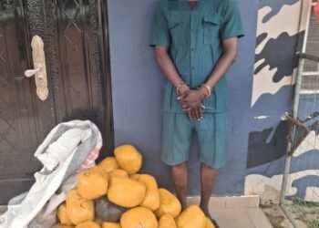 Police arrest drug dealer, confiscates 38 parcels of marijuana at Paga