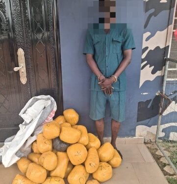 Police arrest drug dealer, confiscates 38 parcels of marijuana at Paga